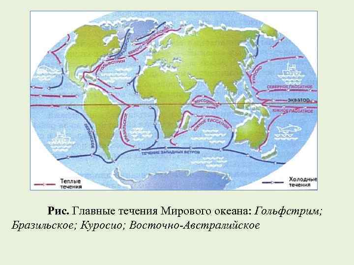 Рис. Главные течения Мирового океана: Гольфстрим; Бразильское; Куросио; Восточно-Австралийское 