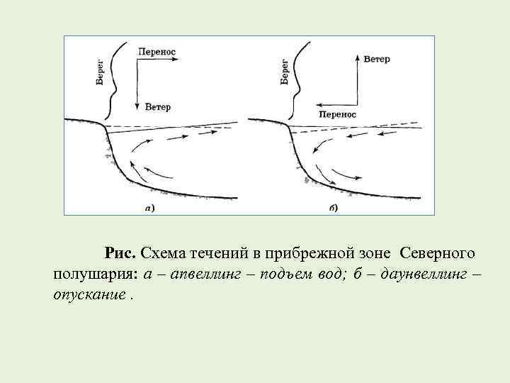 Рис. Схема течений в прибрежной зоне Северного полушария: а – апвеллинг – подъем вод;