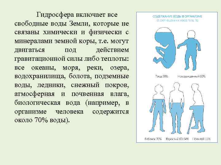 Гидросфера включает все свободные воды Земли, которые не связаны химически и физически с минералами