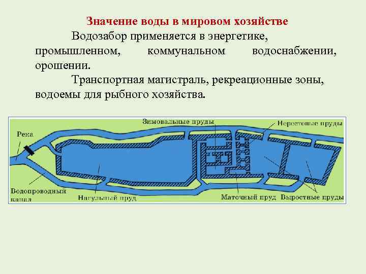 Значение воды в мировом хозяйстве Водозабор применяется в энергетике, промышленном, коммунальном водоснабжении, орошении. Транспортная
