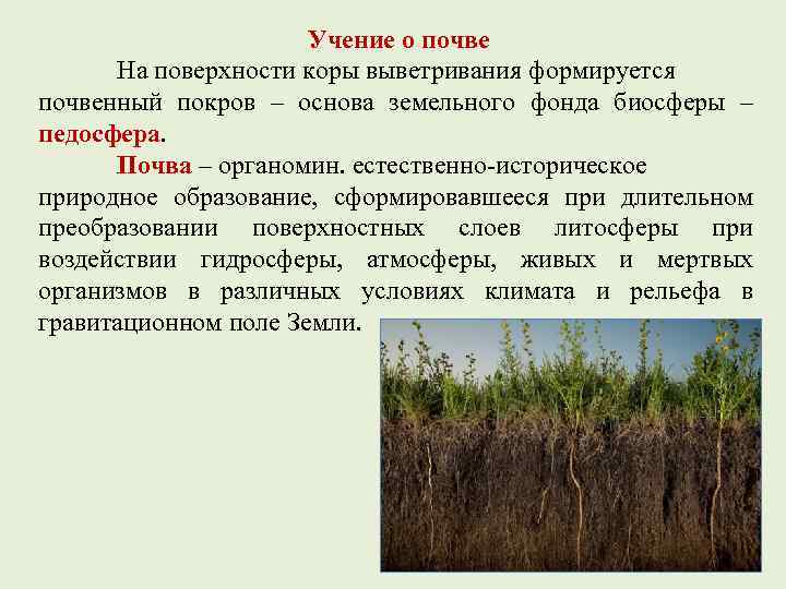 Благодаря функции. Учение о почве. Покров почвы. Почва и почвенный Покров. Как образуется почвенный Покров.