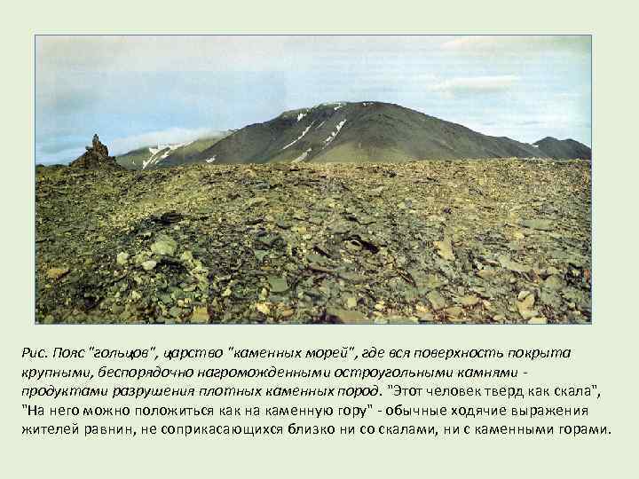 Рис. Пояс "гольцов", царство "каменных морей", где вся поверхность покрыта крупными, беспорядочно нагроможденными остроугольными