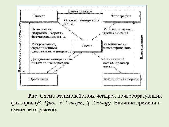 Рис. Схема взаимодействия четырех почвообразующих факторов (Н. Грин, У. Стаут, Д. Тейлор). Влияние времени