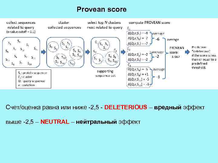 Provean score Счет/оценка равна или ниже -2, 5 - DELETERIOUS – вредный эффект выше