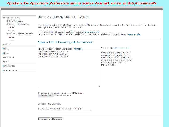 <protein ID>, <position>, <reference amino acids>, <variant amino acids>, <comment> 