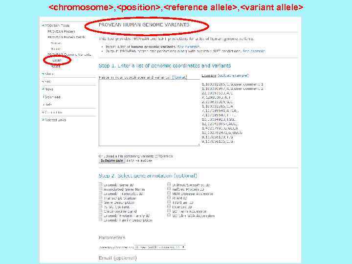 <chromosome>, <position>, <reference allele>, <variant allele> 