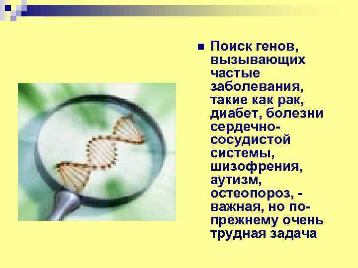 n Поиск генов, вызывающих частые заболевания, такие как рак, диабет, болезни сердечнососудистой системы, шизофрения,