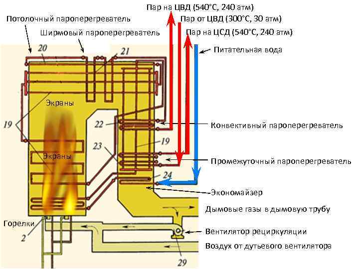 Потолочный пароперегреватель Пар на ЦВД (540°С, 240 атм) Пар от ЦВД (300°С, 30 атм)
