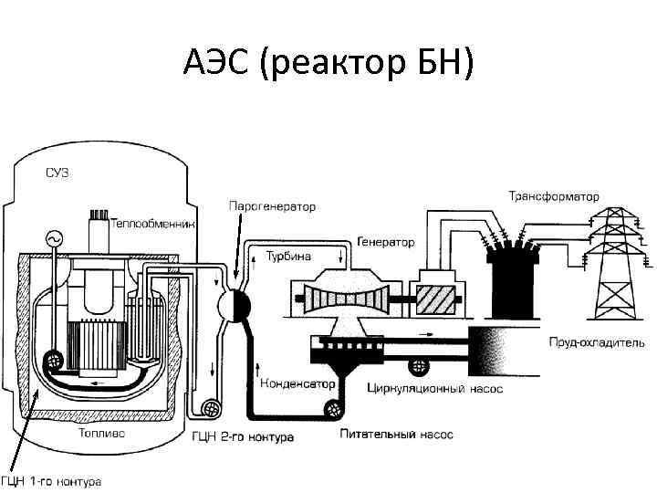 АЭС (реактор БН) 12 