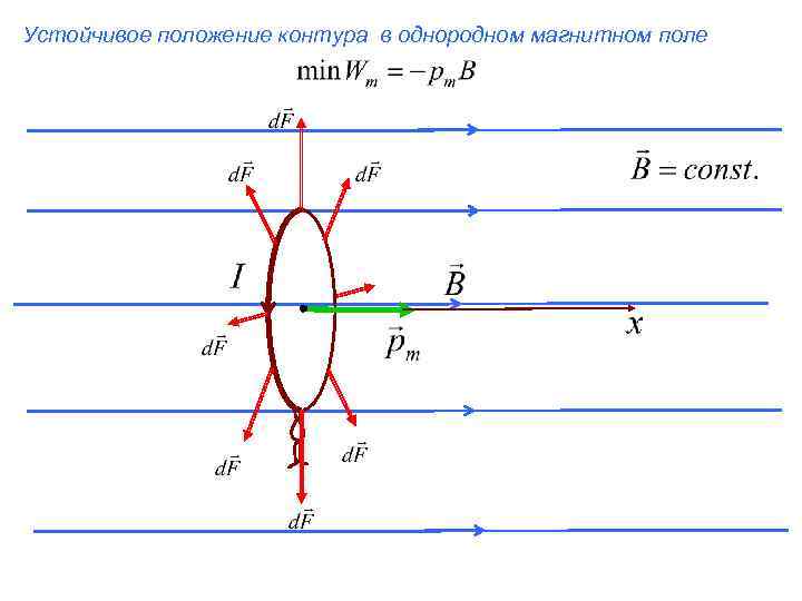 Устойчивое положение контура в однородном магнитном поле 