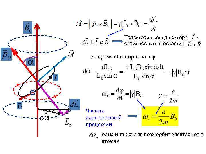 Конец траектории. Частота прецессии формула. Прецессия орбиты электрона в магнитном поле. Период прецессии гироскопа. Ларморова частота прецессии.