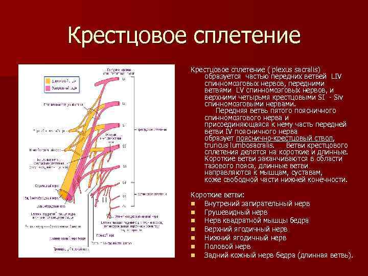 Поражение нервных сплетений