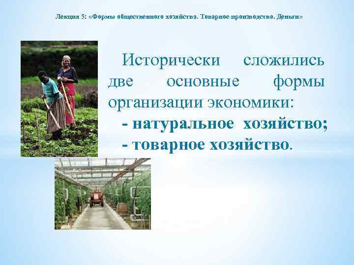 Лекция 5: «Формы общественного хозяйства. Товарное производство. Деньги» Исторически сложились две основные формы организации