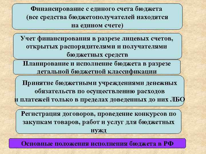 Участники бюджетного процесса и их полномочия презентация