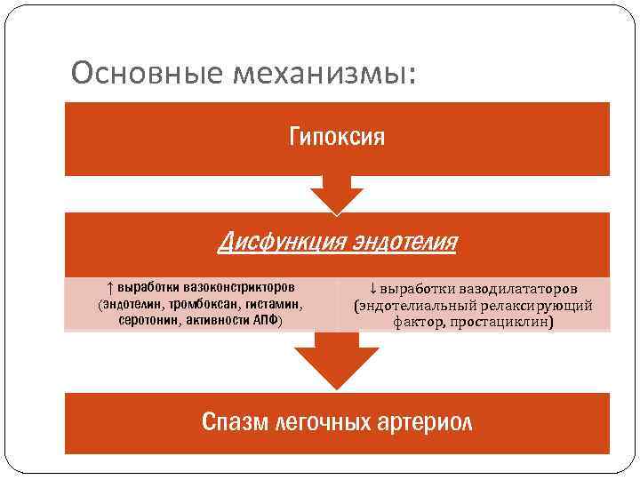 Основные механизмы: Гипоксия Дисфункция эндотелия ↑ выработки вазоконстрикторов (эндотелин, тромбоксан, гистамин, серотонин, активности АПФ)