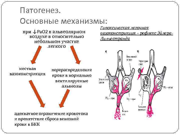 Хроническое легочное сердце Определение Это комплекс нарушений