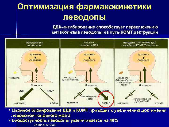 Экстрапирамидные расстройства руководство по диагностике и лечению