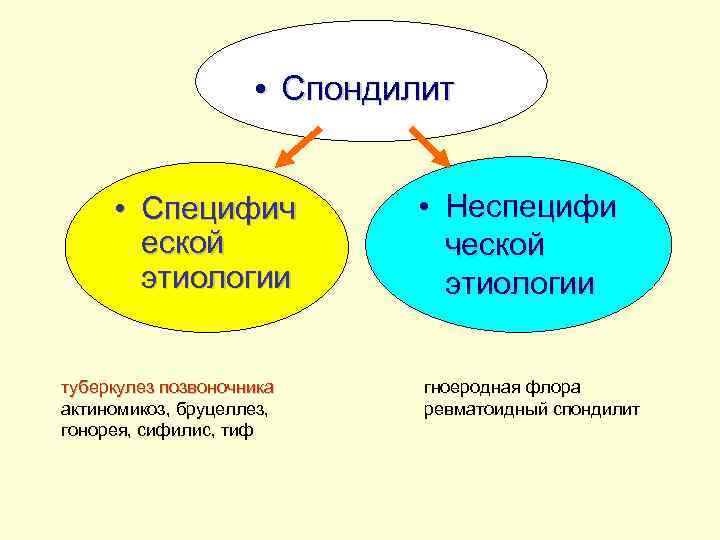  • Спондилит • Специфич еской этиологии туберкулез позвоночника актиномикоз, бруцеллез, гонорея, сифилис, тиф