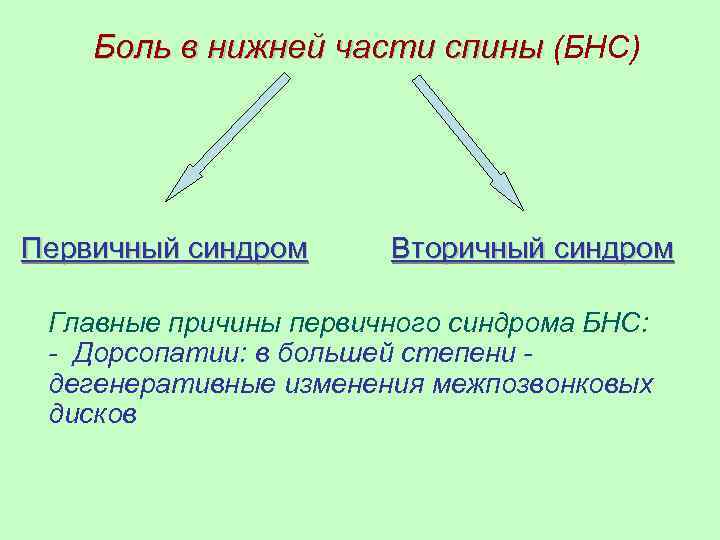 Боль в нижней части спины (БНС) Первичный синдром Вторичный синдром Главные причины первичного синдрома