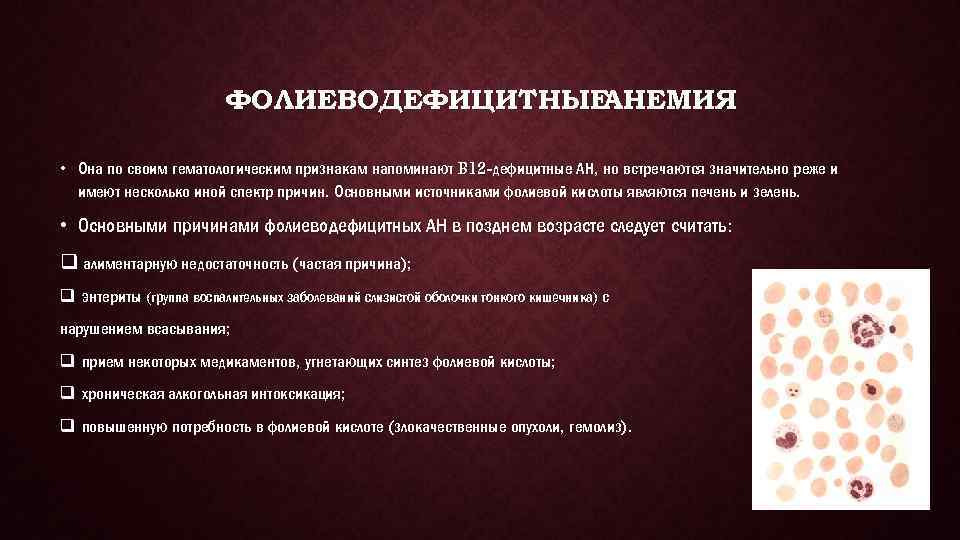 ФОЛИЕВОДЕФИЦИТНЫЕ АНЕМИЯ • Она по своим гематологическим признакам напоминают B 12 -дефицитные АН, но