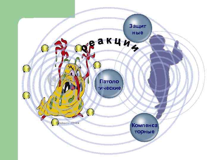 Title in Защит here ные Title in Патоло here гические Title in Компенса here
