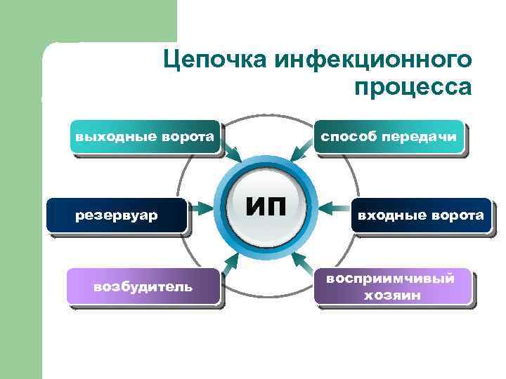 Цепочка инфекционного процесса выходные ворота резервуар возбудитель способ передачи ИП входные ворота восприимчивый хозяин