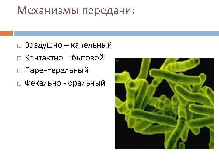 Механизмы передачи: Воздушно – капельный Контактно – бытовой Парентеральный Фекально - оральный 