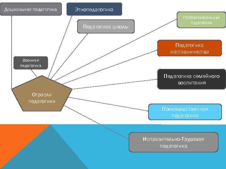 Дошкольная педагогика Этнопедагогика Педагогика школы Профессиональная педагогика Педагогика наставничества Военная педагогика Педагогика семейного воспитания