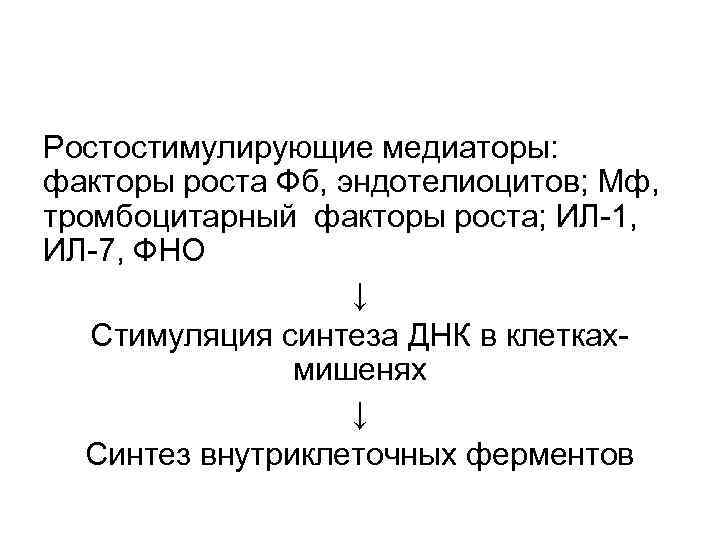Ростостимулирующие медиаторы: факторы роста Фб, эндотелиоцитов; Мф, тромбоцитарный факторы роста; ИЛ-1, ИЛ-7, ФНО ↓