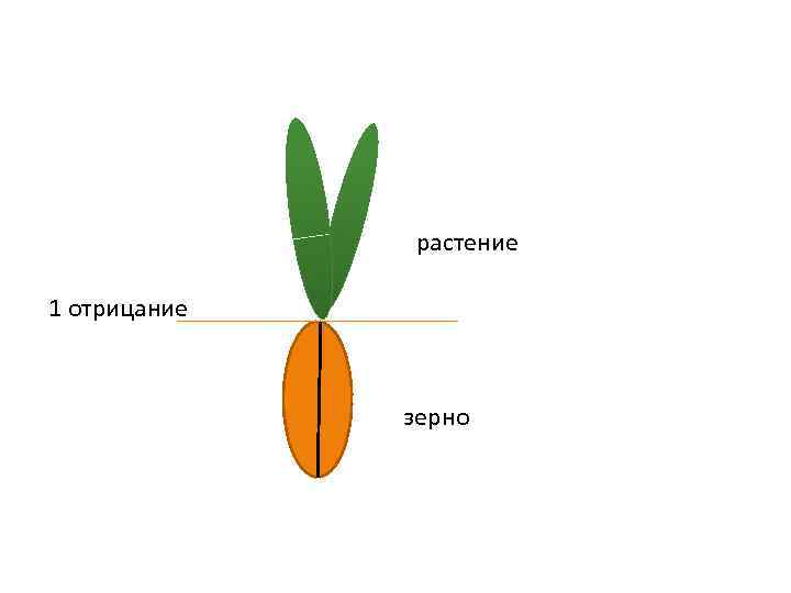 растение 1 отрицание зерно 
