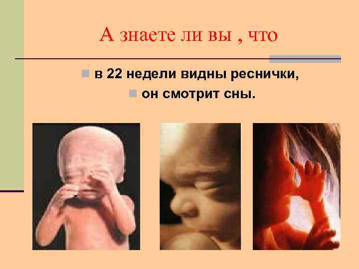 Внутриутробный период развития ребенка лекция thumbnail