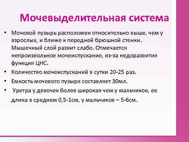 Мочевыделительная система • Мочевой пузырь расположен относительно выше, чем у взрослых, и ближе к