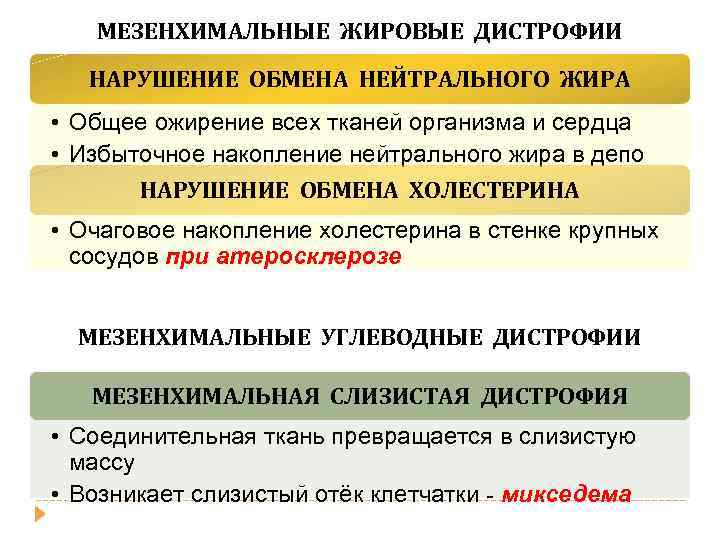 МЕЗЕНХИМАЛЬНЫЕ ЖИРОВЫЕ ДИСТРОФИИ НАРУШЕНИЕ ОБМЕНА НЕЙТРАЛЬНОГО ЖИРА • Общее ожирение всех тканей организма и