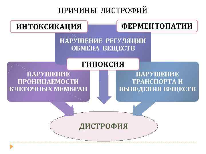 Классификация дистрофий схема