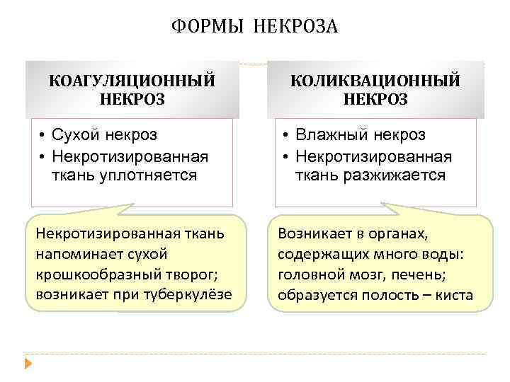 Исходы некроза схема