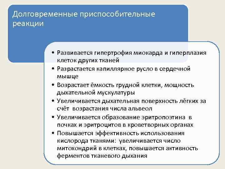 Долговременные приспособительные реакции • Развивается гипертрофия миокарда и гиперплазия клеток других тканей • Разрастается