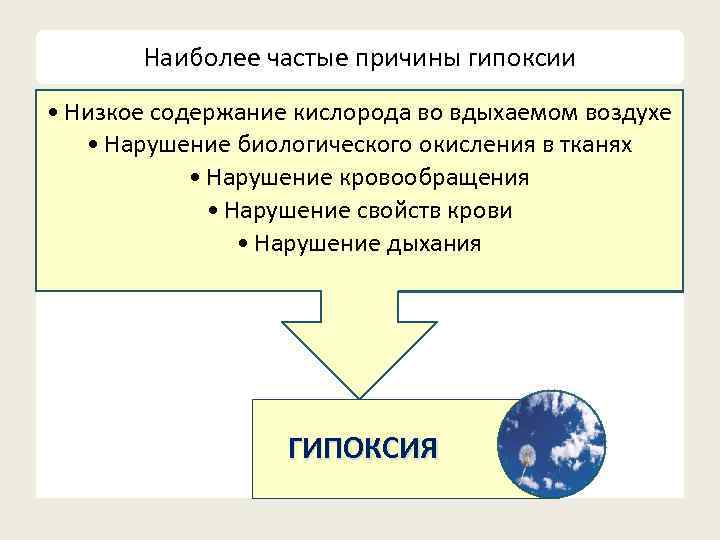 Наиболее частые причины гипоксии • Низкое содержание кислорода во вдыхаемом воздухе • Нарушение биологического