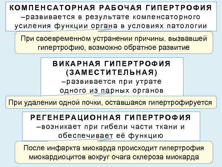 КОМПЕНСАТОРНАЯ РАБОЧАЯ ГИПЕРТРОФИЯ –развивается в результате компенсаторного усиления функции органа в условиях патологии При