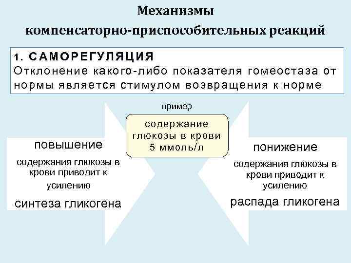 Механизмы компенсаторно-приспособительных реакций САМОРЕГУЛЯЦИЯ Отклонение какого-либо показателя гомеостаза от нормы является стимулом возвращения к