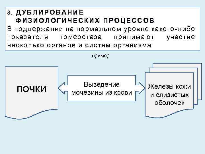 ДУБЛИРОВАНИЕ ФИЗИОЛОГИЧЕСКИХ ПРОЦЕССОВ В поддержании на нормальном уровне какого-либо показателя гомеостаза принимают участие несколько