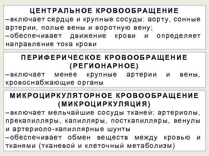 Ц Е Общая характеристика системы. И Е НТРАЛЬНОЕ КРОВООБРАЩЕН –включает сердце и крупные сосуды: