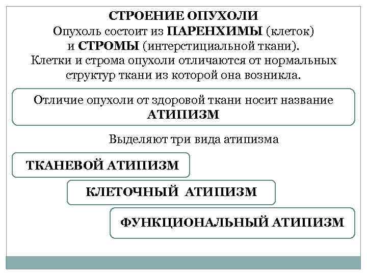 СТРОЕНИЕ ОПУХОЛИ Опухоль состоит из ПАРЕНХИМЫ (клеток) и СТРОМЫ (интерстициальной ткани). Клетки и строма