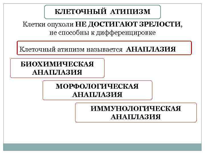 КЛЕТОЧНЫЙ АТИПИЗМ Клетки опухоли НЕ ДОСТИГАЮТ ЗРЕЛОСТИ, не способны к дифференцировке Клеточный атипизм называется