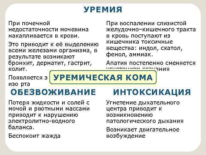 УРЕМИЯ При почечной При воспалении слизистой недостаточности мочевина желудочно–кишечного тракта накапливается в крови. в