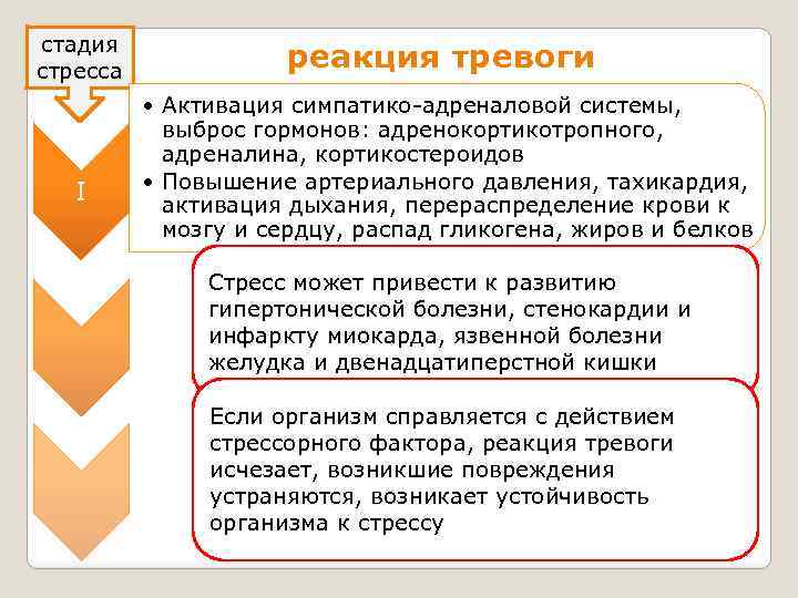 стадия стресса I реакция тревоги • Активация симпатико-адреналовой системы, выброс гормонов: адренокортикотропного, адреналина, кортикостероидов