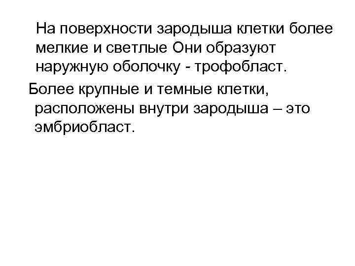 На поверхности зародыша клетки более мелкие и светлые Они образуют наружную оболочку - трофобласт.