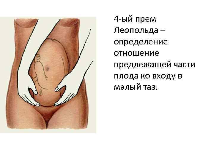 4 -ый прем Леопольда – определение отношение предлежащей части плода ко входу в малый