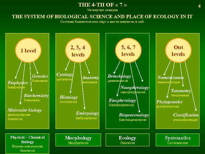 THE 4 -TH OF « 7 » 4 Четвертая семерка THE SYSTEM OF BIOLOGICAL
