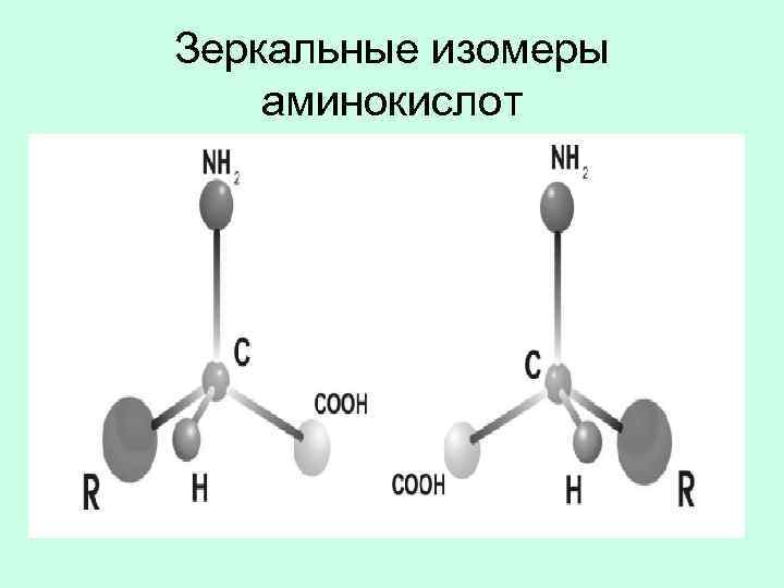 Зеркальные изомеры аминокислот 