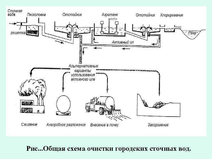 Рис. . . Общая схема очистки городских сточных вод. 